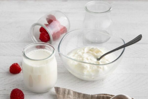 Fermentisani mlečni proizvodi