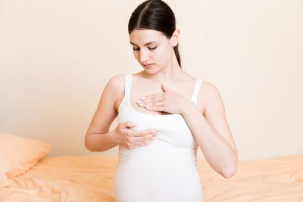 nega grudi u trudnoci i periodu laktacije 