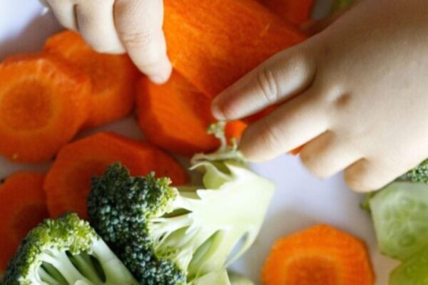 Povrće u ishrani beba i dece