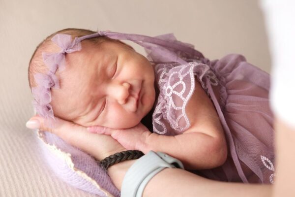 Sa Otvaranja Izložbe 2017.godine