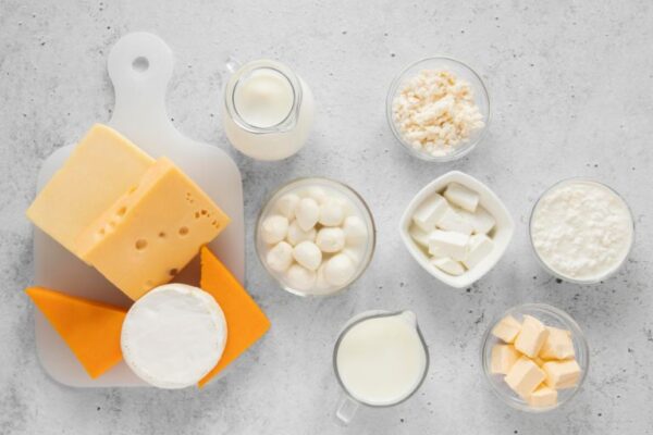 mleko i mlečni proizvodi u ishrani trudnice