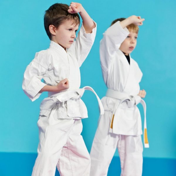 Karate u Najranijem Uzrastu Dece