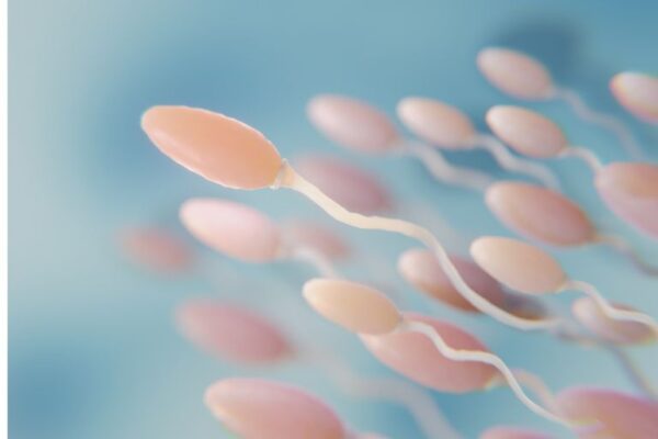 kvalitet spermatozoida