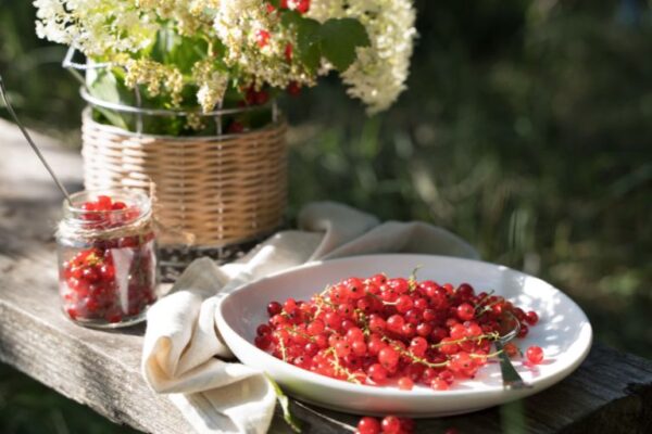 smanjiti kolicina pesticida u vocu i povrcu