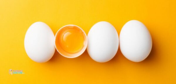 Kada se uvode jaja u ishranu bebe Važna u ishrani male dece