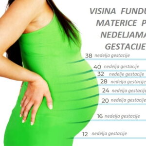 Kako beba raste u maminom stomaku do 40 nedelja trudnoće