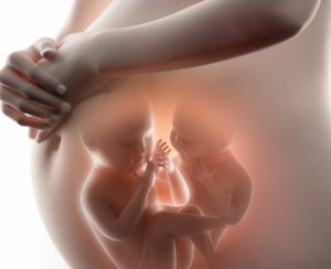 Kako beba raste u maminom stomaku do 40. nedelje trudnoće