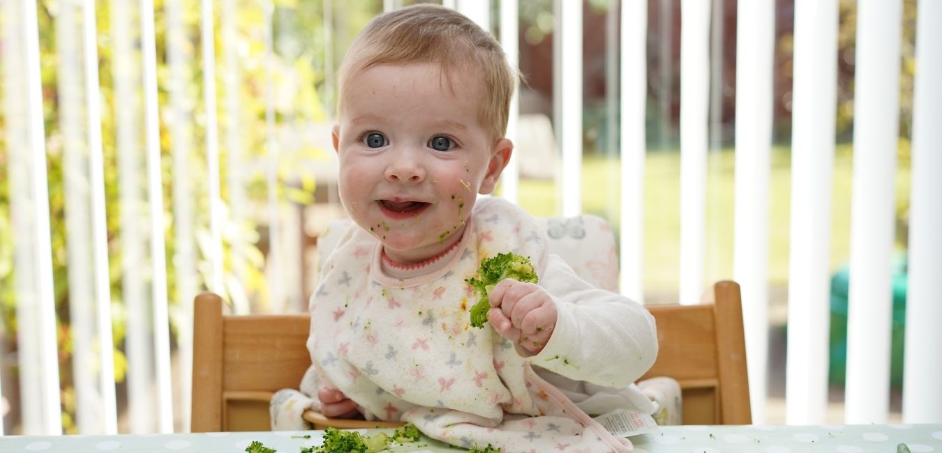 Ishrana bebe Sedmodnevni jelovnik za bebe od 8 meseci