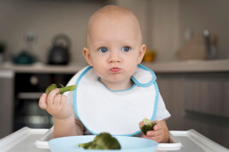 Ishrana bebe Sedmodnevni jelovnik za bebe od 8 meseci