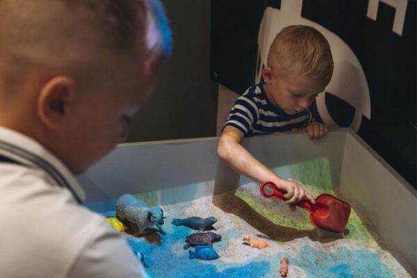  senzorna integracija