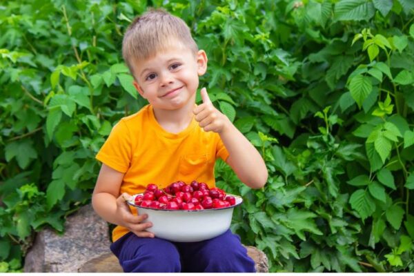 Šta je važno u ishrani dece 