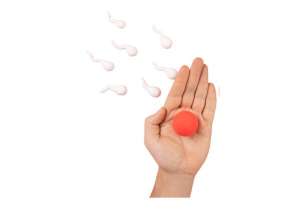 Zamrzavanje jajnih ćelija u Srbiji 