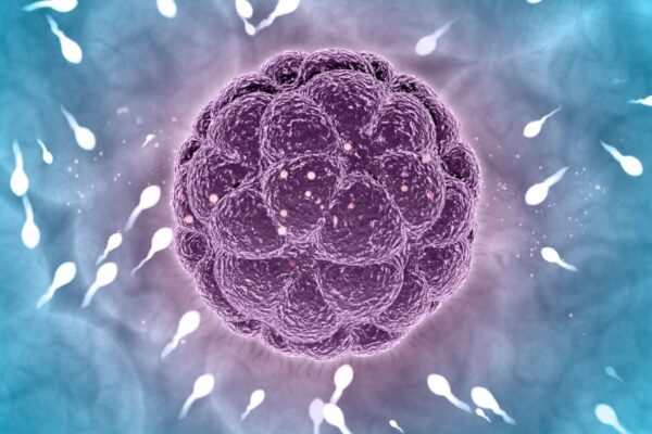 Zamrzavanje jajnih ćelija u Srbiji 