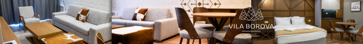 Vila Borova