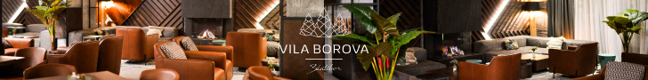 Vila Borova