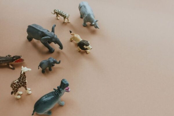 Odabir dobre igračke