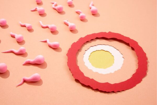 Kvalitet jajnih ćelija