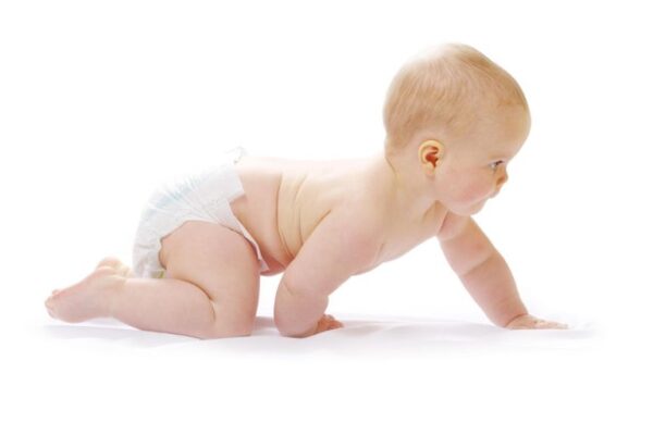 Puzanje je posebna razvojna faza