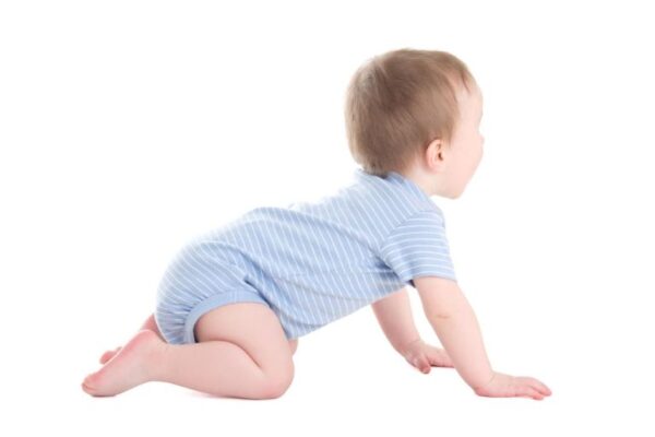 Puzanje je posebna razvojna faza