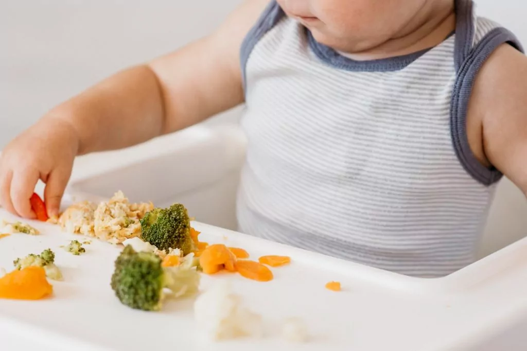 Uvođenje komadića hrane