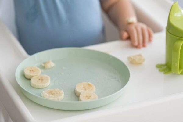 Uvođenje komadića hrane na vreme