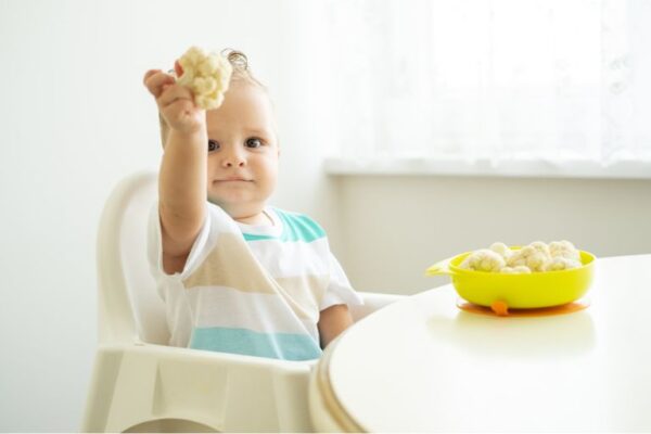 Uvođenje komadića hrane na vreme